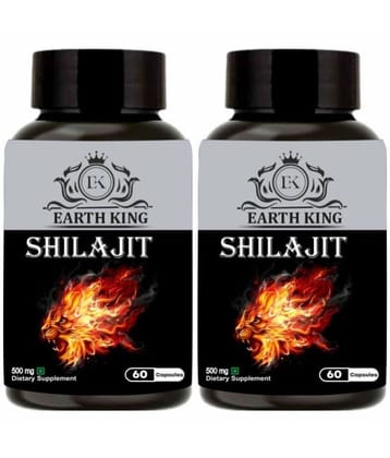 EARTH KING Shilajit Capsule Supports Strength, Stamina & Energy - 500mg 120Capsules (Pack of 2)