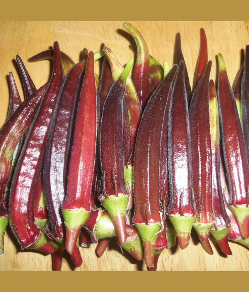 Green India Vegetables Okra/Bhindi Hybrid Seeds - 50 seeds/Pack