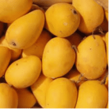 Alphonso Mango Alphonso Mango