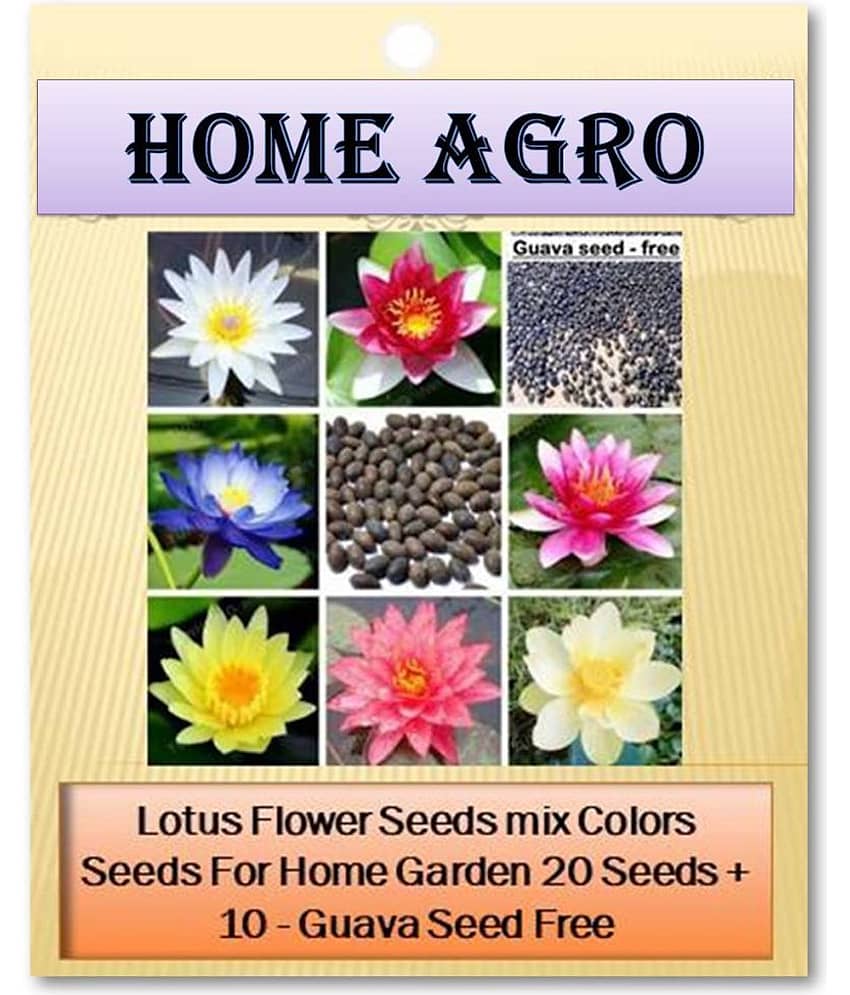 homeagro - Flower Seeds ( 20 )