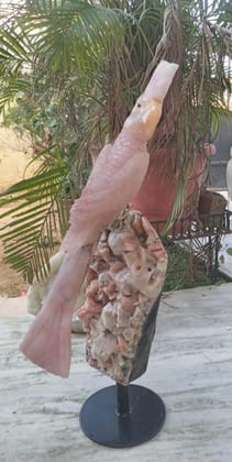 Rose Quartz Macaw Sculpture - Aventurine, Sodalite & Apophyllite Stand Rose Quartz Macaw Sculpture - Aventurine, Sodalite & Apophyllite Stand