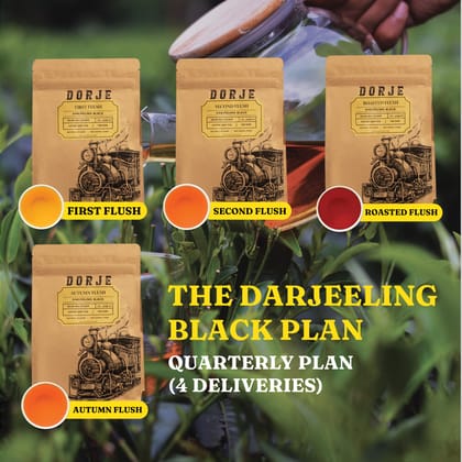 Darjeeling Black Plan | Now Delivering: 2025 First Flush Teas-100g / EVERY 3 MONTH (4 Deliveries)