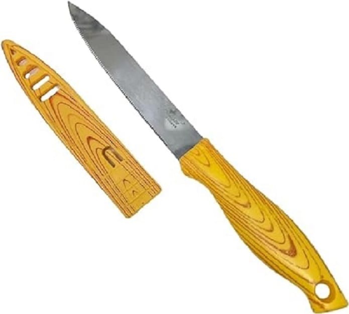 BIYANKA Stainless Steel Vegetable & Fruit Cutting Knife - Pack of 2