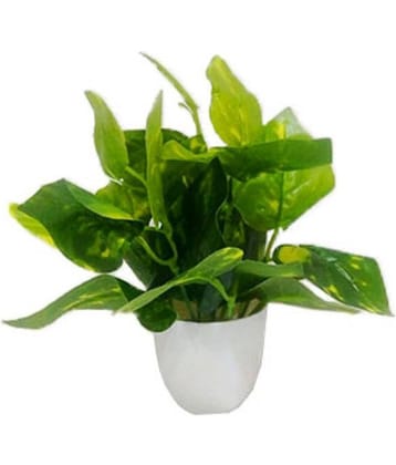 Green plant indoor Artificial Money Plant Bonsai Green Bonsai Plastic - Pack of 1