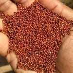 PJMN FARMER PRODUCER COMPANY LIMITED