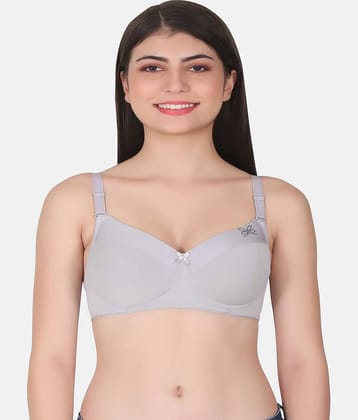 LACYLUXE Nylon Lightly Padded Women's T-Shirt Bra ( Light Grey )