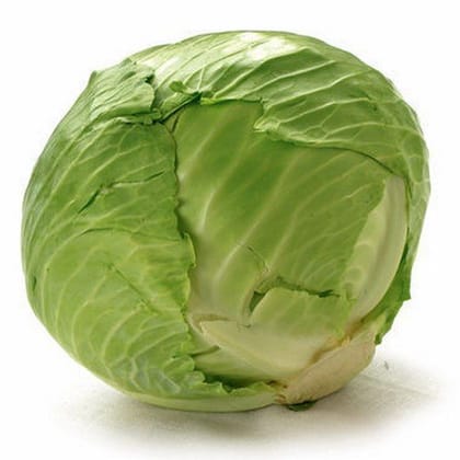 Cabbage 2 PIC