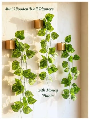 Wall Planter with Artificial Money Plant | Eco-Friendly Hanging Wall Décor for Living Room, Office, Kitchen & Home