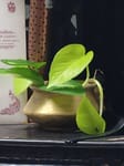 Organic Beauty & Wellness Store By Gthree
