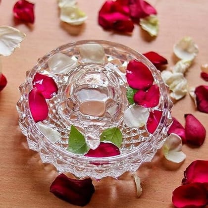 Dariya Jaipur Vastu Feng Shui Crystal Turtle Tortoise with Plate