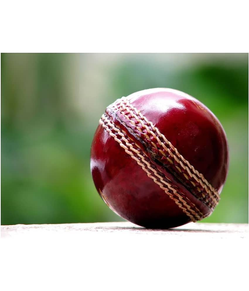 EmmEmm Finest Genuine Leather Cricket Ball