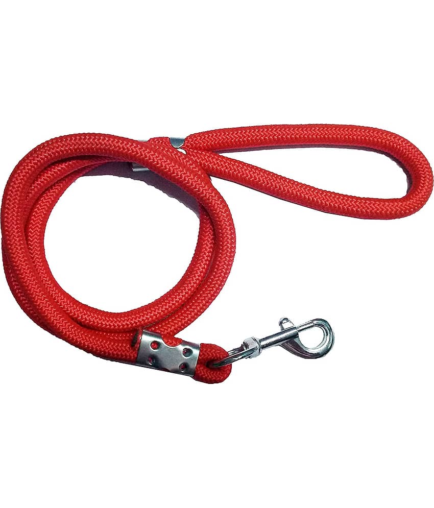 Dog - Red Leash ( Small )