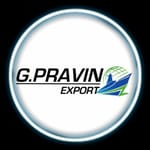 G.PRAVIN EXPORT 