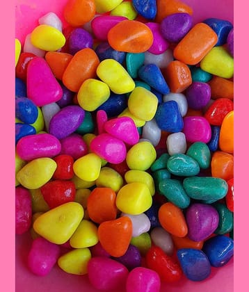 Somil Multicolor Pabbles/Stone For Garden, Plants, Aquarium & Home Decor Wt. 450g