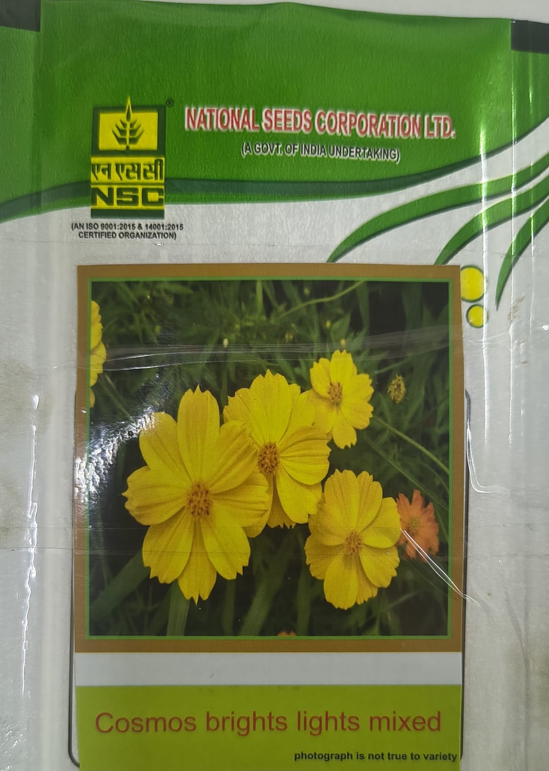 NSC Cosmos Brights Lights Mixed Flower seed, 5gm