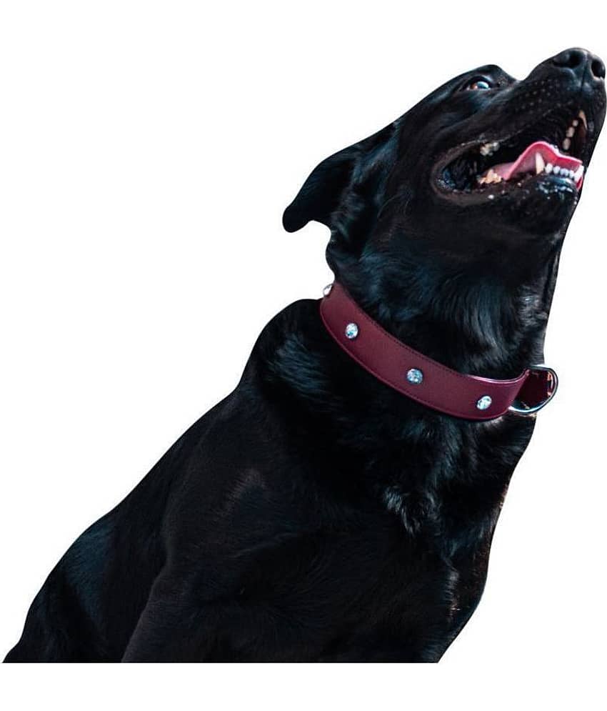 Tame Love - Red Dog Collar (Small)