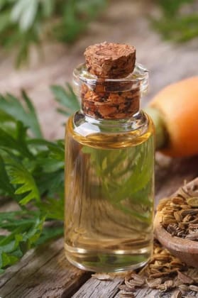 Carrot seed Hydrosol Extract (100gms)
