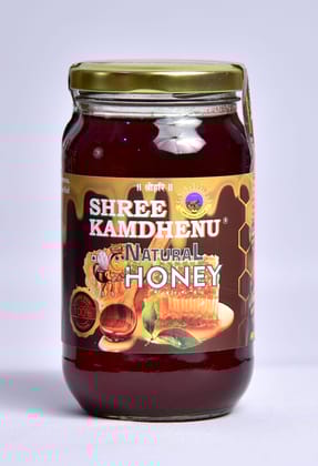 Pure Honey 500 G
