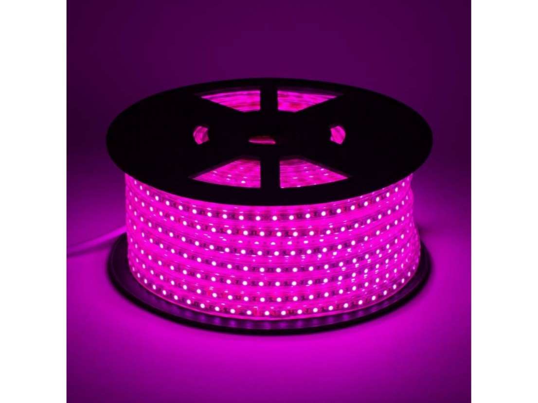 IMAGO 880 LEDs 20m Pink Rice Lights (Pack of 1)
