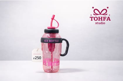 Ice bottle with straw and handle