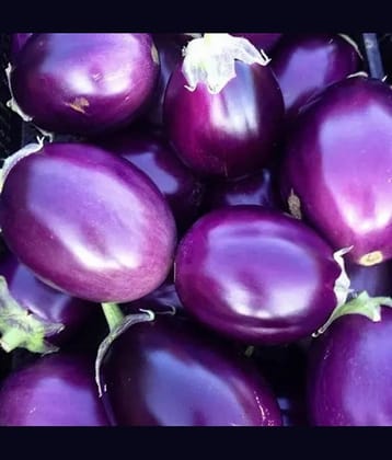 Desi Gulabi Brinjal (Baigan ke beej) Vegetable Seeds Pack Of 50 | Organic | for Planting in Home Kitchen Terrace Balcony Gardening