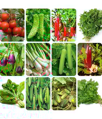 12 Variety of Vegetable Seeds combo - 1000 + seed with Instruction Manual