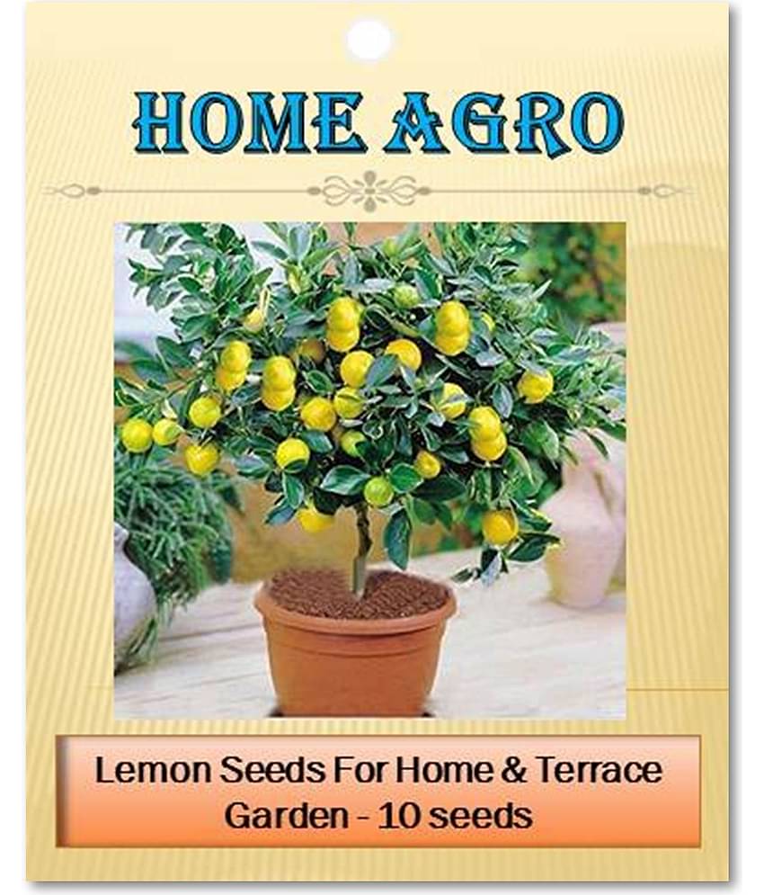 homeagro - Vegetable Seeds ( 10 seed )