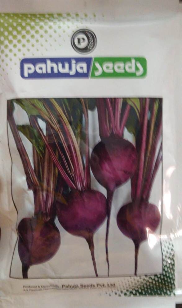 BEETROOT PAHUJA DYNASTY