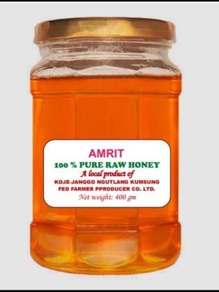 Amrit | 100% Pure Raw Honey - 400 gm - One Pack