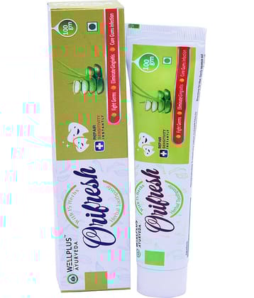 Wellplus Ayurveda - Toothpaste 100 gm