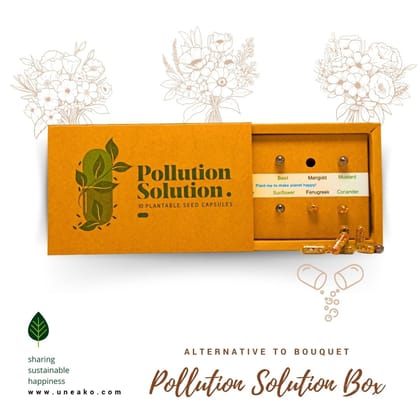 Pollution Solution box 2pcs