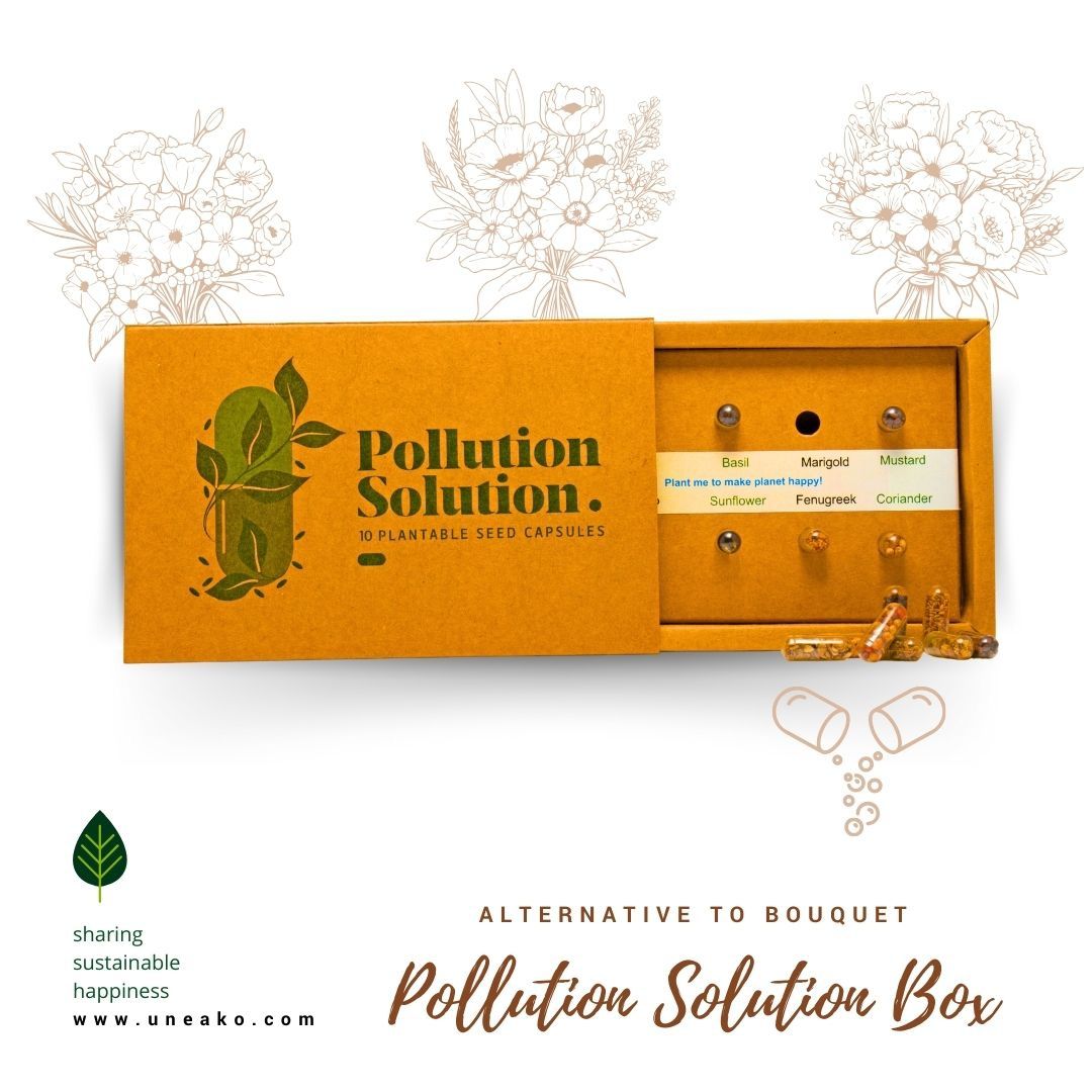 Pollution Solution box 2pcs