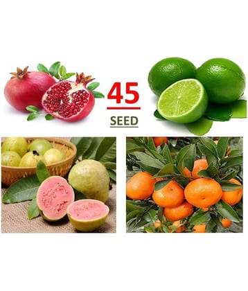 Fruit Seed Mega Combo ( pomegranate, lemon, guave, orange, ) 45 seed, *Read Description - hare karishna t rading