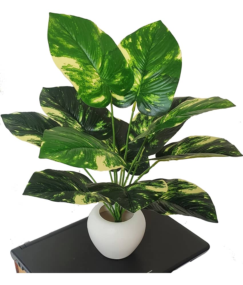 BAARIG - Multicolor Evergreen Artificial Plants Bunch ( Pack of 1 )