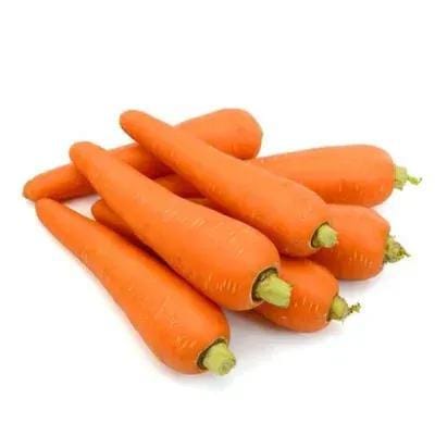 Carrot - Orange (Gajar)
