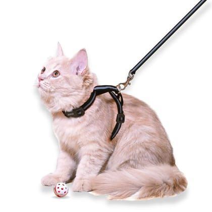 Reflective Cat Harness-Black / BASIC CAT HARNESS