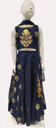 Girls Navy Blue Ethnic Cholee Suit With Dupatta-2935 / Navy Blue / 24
