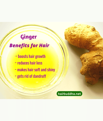 Vadhika 100 % Pure Ginger Essential Oil 35 ml