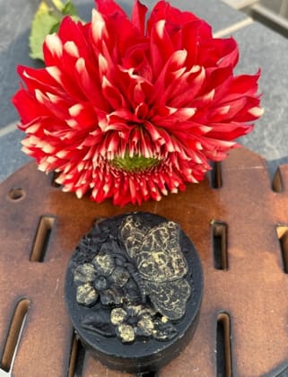 Craafty Souls - Activated Charcoal & Mint Spa Bar | Handmade Detox Soap for Face & Body