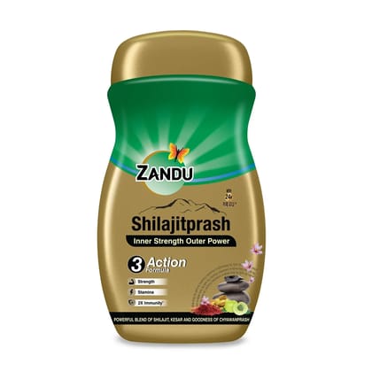 Zandu Shilajitprash Chyawanprash for Strength, Stamina, and 2X Immunity 900g