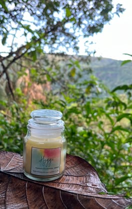 Hygge Amber Scented Soy Wax Candle