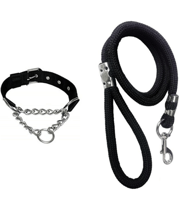 Smart Doggie - Multicolor Dog Collar (Small)