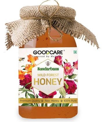 Goodcare Sundarbans Wild Forest Honey, 100% Raw and Natural, No Preservatives, Boosts Immunity and Energy, Premium Quality Honey 500gm