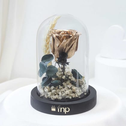 FNP Hand - Sprayed Golden Forever Rose in Glass Dome - Valentines & Anniversary Gift - Timeless Romantic Home Decor
