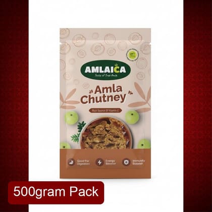 Amlaica Amla Chutney (500g) | Rich Source of Vitamin C & Antioxidants | Tangy & Spicy Traditional Dip