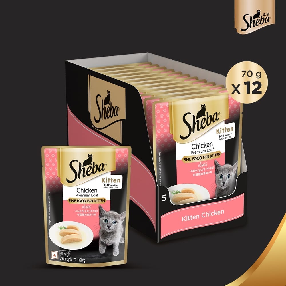 Sheba Fine Premium Chicken Premium Loaf Kitten (2-12 months) Wet Cat Food (70gx14)