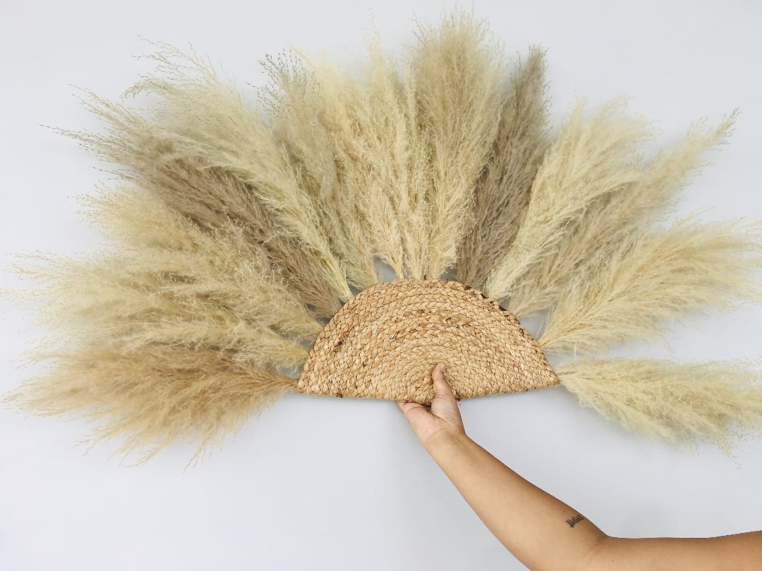 Off WHITE PAMPAS GRASS SUN Decor