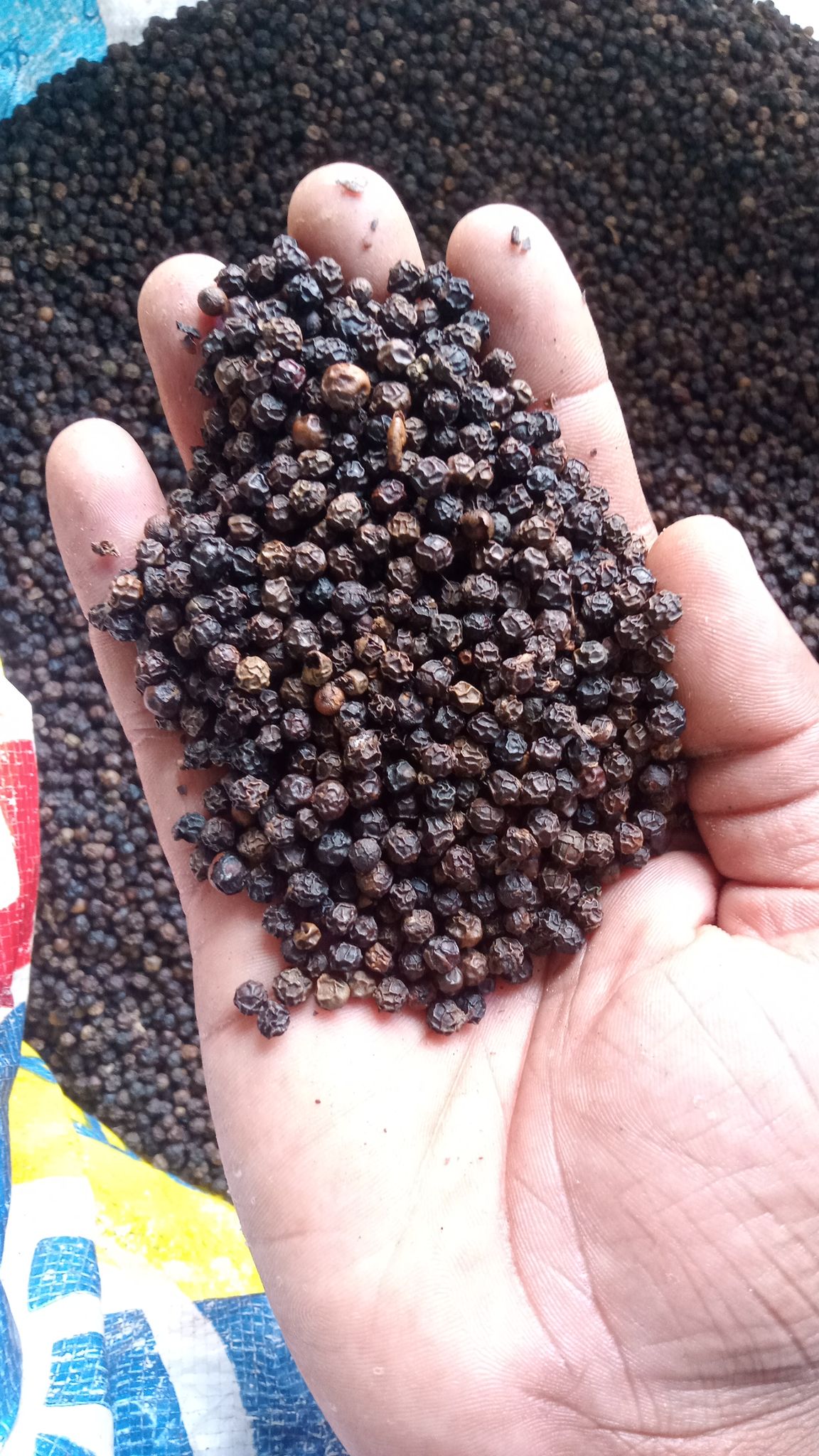 Black pepper 8mm 100GM | kerala spices | 100gm black pepper