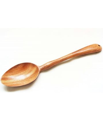 Agri Club Neem Wood Serving Spoon Pack of 1
