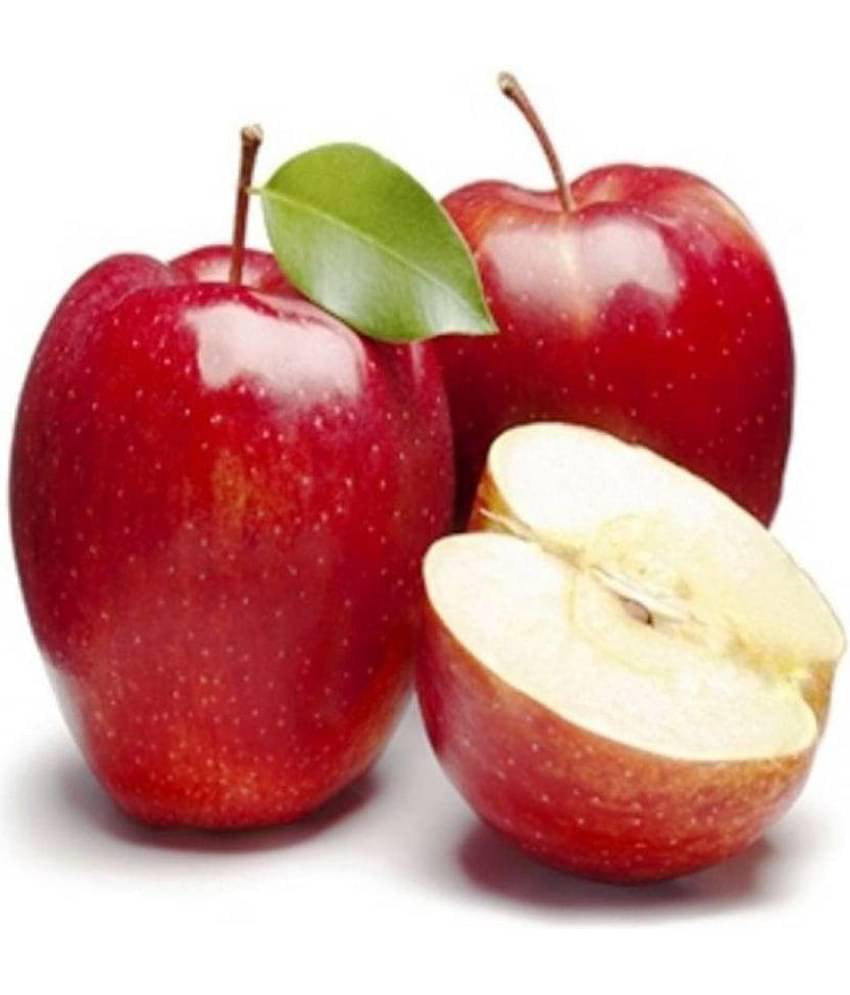 Nooelec India Apple Hazaratbali Variety Fruit Seed (5 per packet)